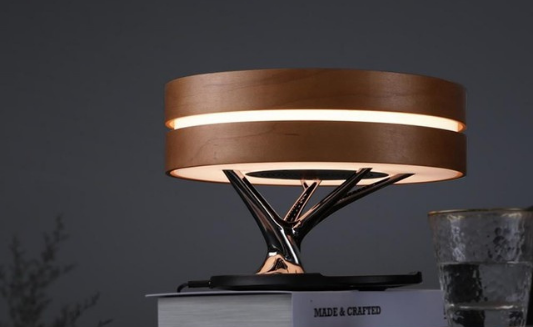 Latest Product Arrivals: Circle of Light Lamp & Levitating Plant Pot