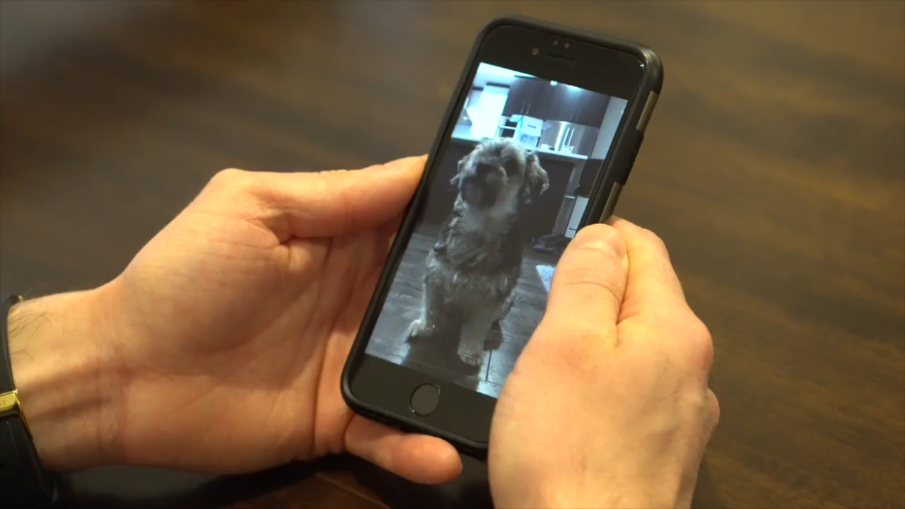 Load video: 