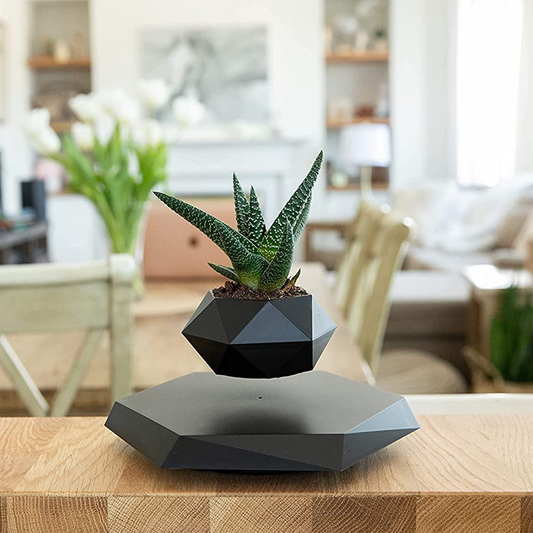 Levitating Plant Pot: Black